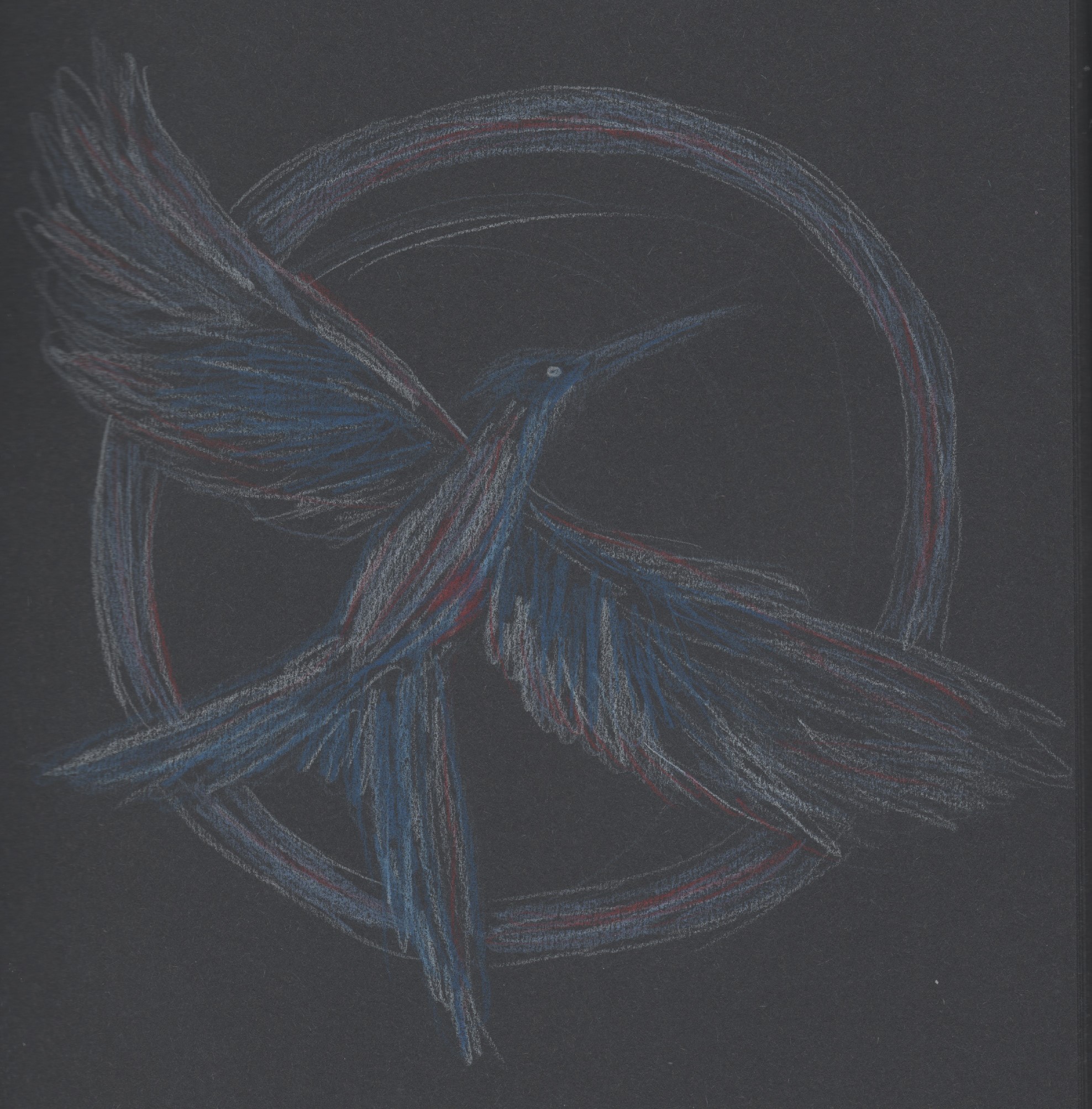 Hunger Games, Suzanne collins, jeunesse, crayons de couleurs, symbole, `geai moqueur`